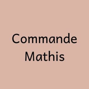 Ateliers stages février Mathis